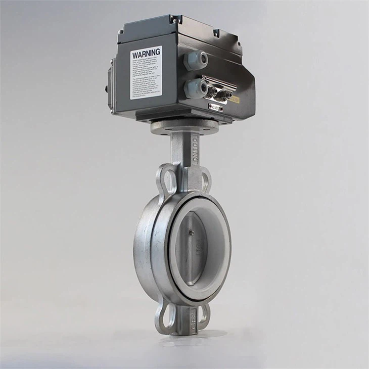 شیر خاموش پروانه برقی